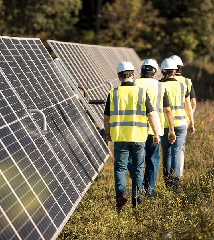 Solar panel workers walking alongside solar panels