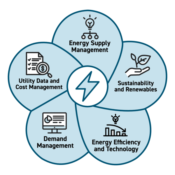 Flower graphic with following items: Energy Supply Management, Sustainability and Renewables, Energy Efficiency and Technology, Demand Management & Utility Data and Cost Management